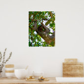 スロース・ポスター ポスター (キッチン)