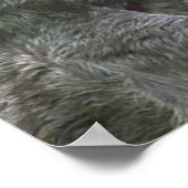 スロース・ポスター ポスター (角)