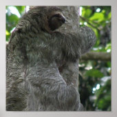 スロース・ポスター ポスター (正面)