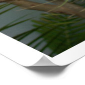 スロース・ポスター ポスター (角)