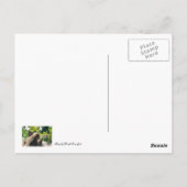 スロース ポストカード (裏面)