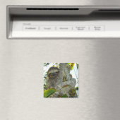 スロース マグネット (インサイチュ (食洗機))