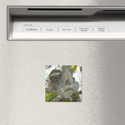 スロース マグネット (インサイチュ (食洗機))