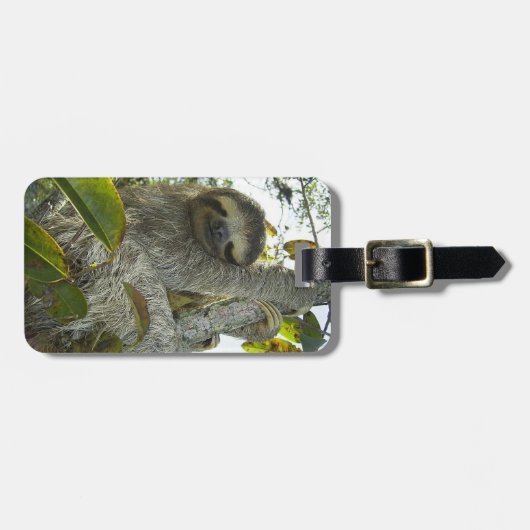 スロース ラゲッジタグ (正面横)