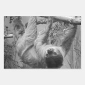 スロース ラッピングペーパーシート (正面2)