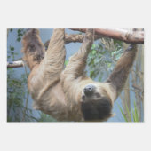 スロース ラッピングペーパーシート (正面)