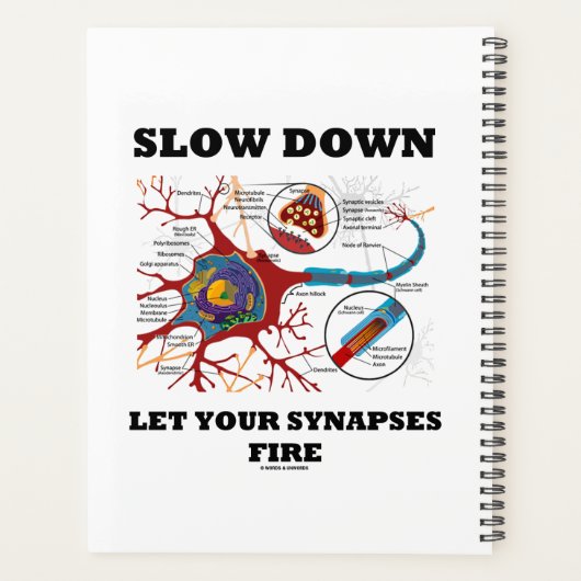 スローダウンあなたのシナプスにニューロンのシナプスを発射させる プランナー手帳 (裏面)
