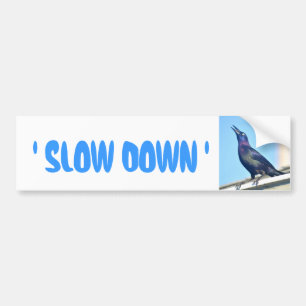 スローダウン鳥バンパーステッカー バンパーステッカー