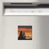 スローダウン、シンプル化、そして優しくすること…... マグネット (インサイチュ (食洗機))