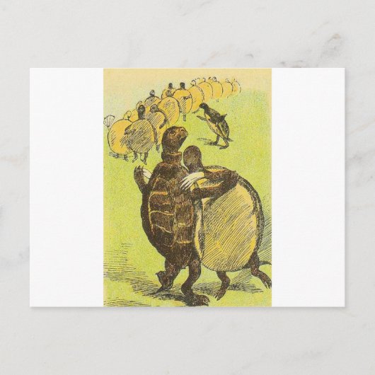 スローダンスカメ ポストカード (正面)