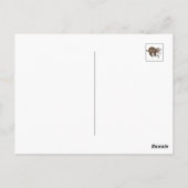 スロートと安定 ポストカード (裏面)