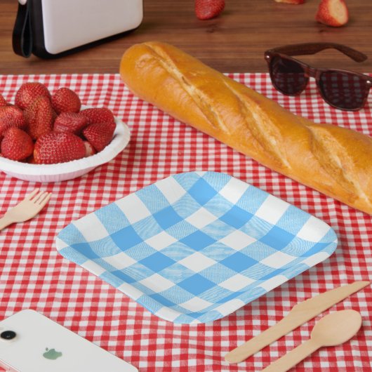 スローライフの夏空チェック ペーパープレート (ピクニック)