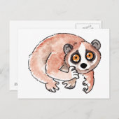 スローロリス葉書 ポストカード (正面/裏面)