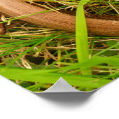 スローワームのポスター ポスター (角)