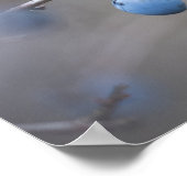 スローン自然写真 ポスター (角)