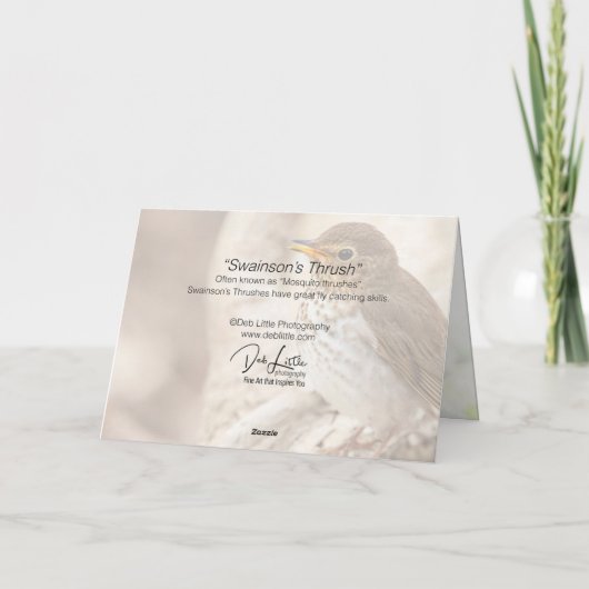 スワインソンズツグミ カード (裏面)