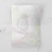 スワインソンズツグミ カード (内部)