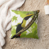 スワインソントゥーカンエキゾチック鳥 クッション (ブランケット)