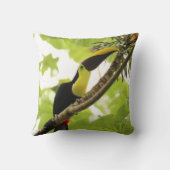 スワインソントゥーカンエキゾチック鳥 クッション (裏面)