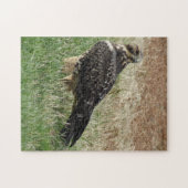 スワインソンハーク ジグソーパズル (横)