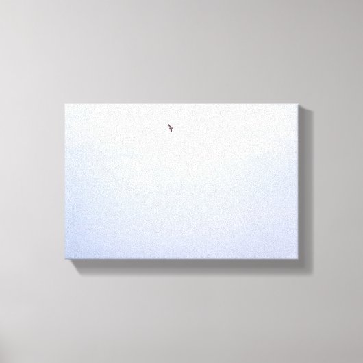 スワインソン・ホーク キャンバスプリント (正面)