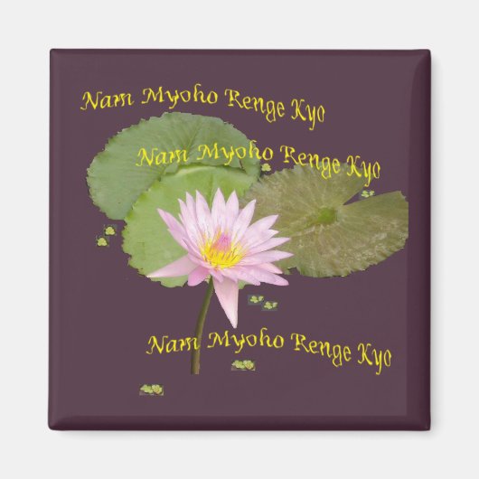 スワジNMRKマグネット マグネット (正面)