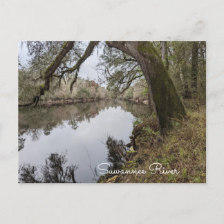 スワニー川はがき ポストカード