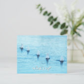 スワンおもしろいズ何アップすべての行事空白の ポストカード (スタンド正面)