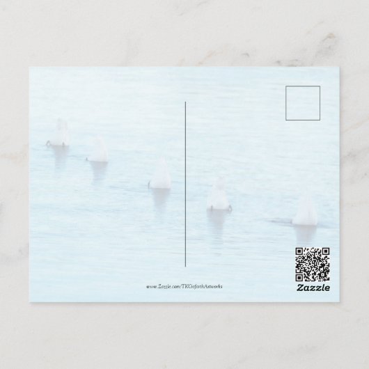 スワンおもしろいズ何アップすべての行事空白の ポストカード (裏面)