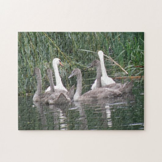 スワンとシグネッツパズル ジグソーパズル (横)