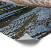 スワンとシグネッツ ポスター (角)