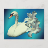 スワンとハイビスカスの花の自然 ショップオリジナル ポストカード (正面)
