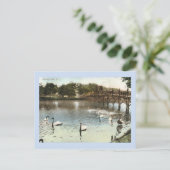 スワンと橋、春湖、NJヴィンテージ ポストカード (スタンド正面)