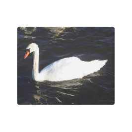 スワンのメタリックウォールアートをミュート メタルプリント