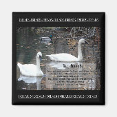 スワンの真の友人 マグネット (正面)