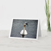 スワンの肖像 カード (正面)