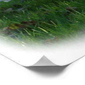 スワンをミュート9Y098D-012 ポスター (角)