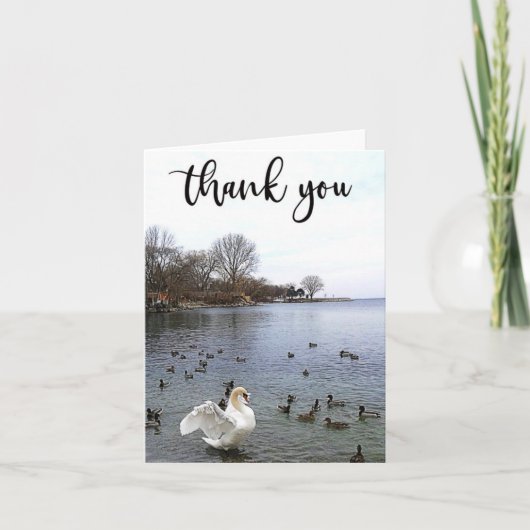 スワンアンドダックズオンレイクサンキューカード サンキューカード (正面)