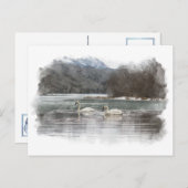 スワンスのはがき ポストカード (正面/裏面)