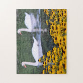 スワンスインザガーデン – パズル (縦)