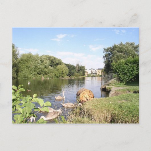 スワンスオンリバーリフィーダブリン ポストカード (正面)