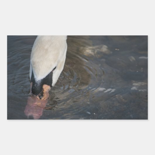 スワンステッカー 長方形シール (正面)