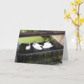 スワンス・オン・ワイア カード (黄色い花)