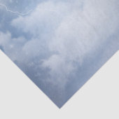 スワンズの幻想的な青飛んでいる空 薄葉紙 (詳細)