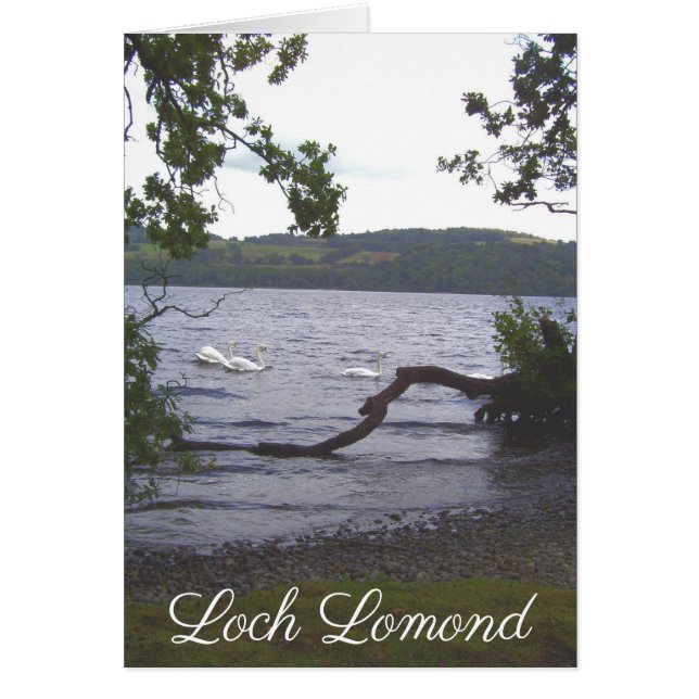 スワンズオンローモンド (正面)