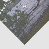 スワンズオンローモンド 薄葉紙 (詳細)