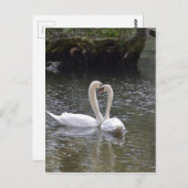 スワンズ結婚ラブピースホープ水湖公園 ポストカード (正面/裏面)