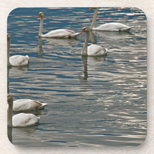 スワンソング コースター (正面)