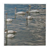 スワンソング タイル (正面)