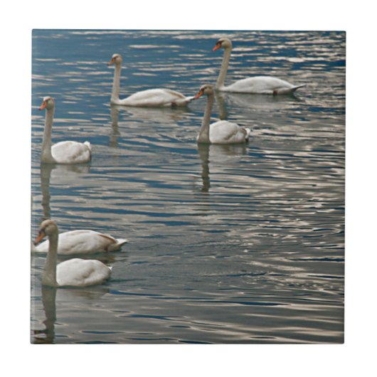 スワンソング タイル (正面)